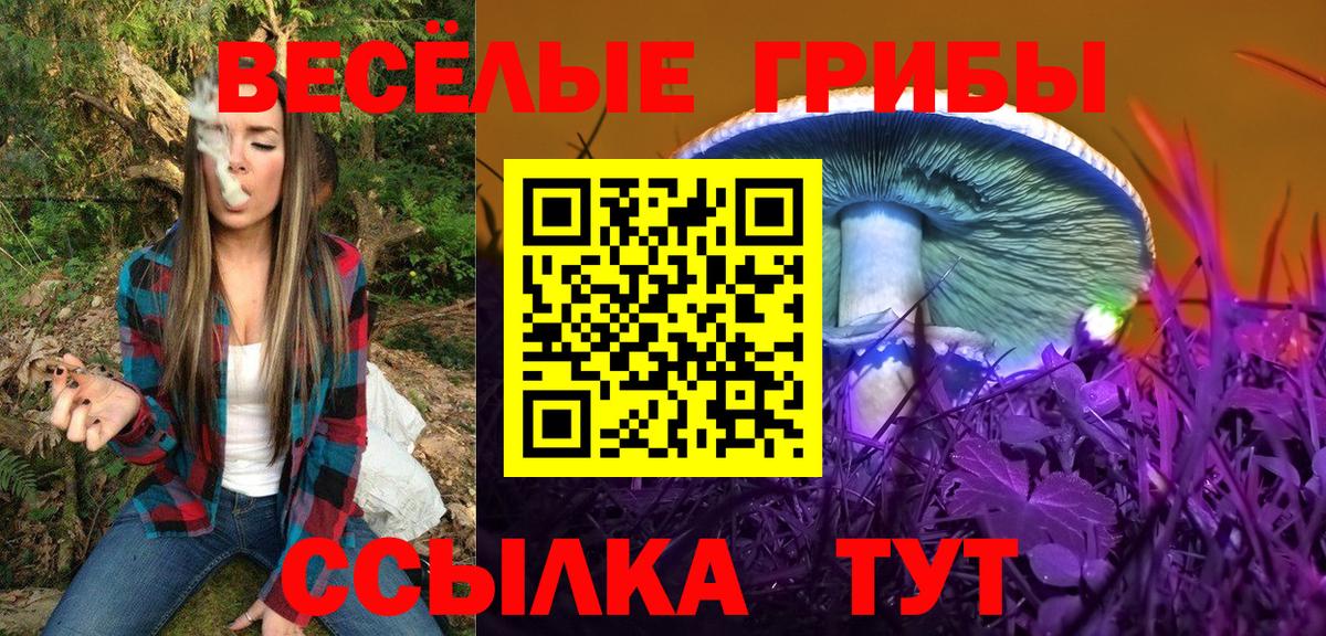 Псилоцибиновые грибы ЛСД Ковров
