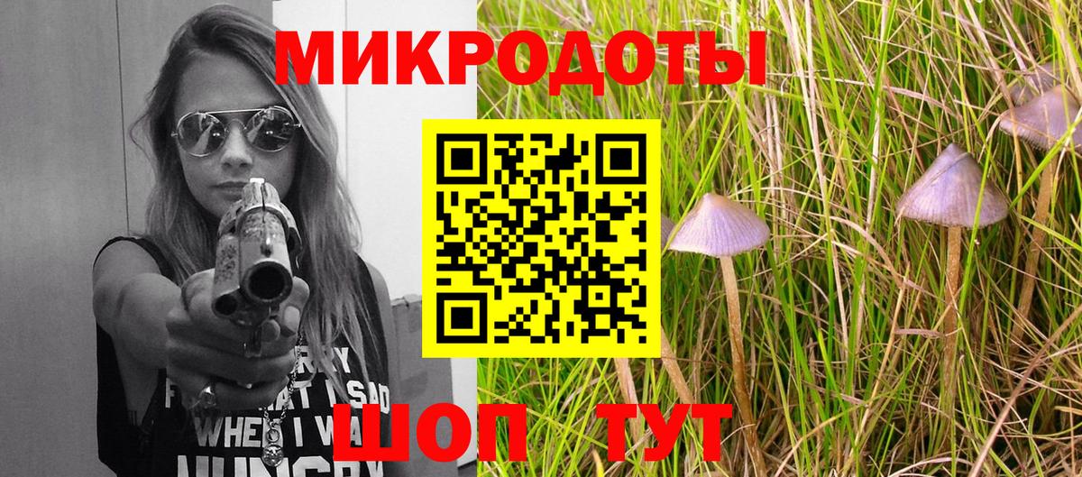 Псилоцибиновые грибы GOLDEN TEACHER  Галлюциногенные грибы мухоморы  Ковров  Вход с VPN 
